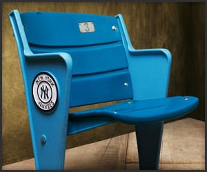 Yankee/Texas Stadium Seats