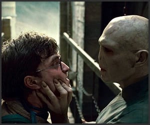 Harry Potter: The Deathly Hallows