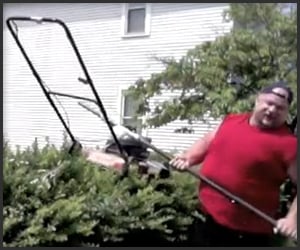 best lawn mower under 100 on Lawnmower On A Stick