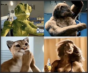 Orangina Animals Ads
