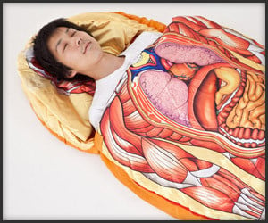 Anatomical Model Sleeping Bag
