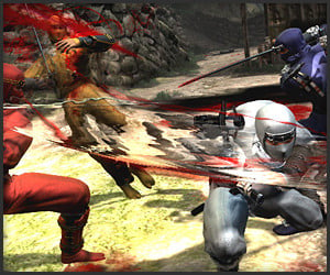 Ninja Gaiden 3: Multiplayer
