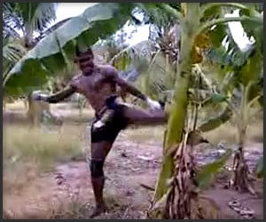 Muay Thai Guy vs. Banana Tree