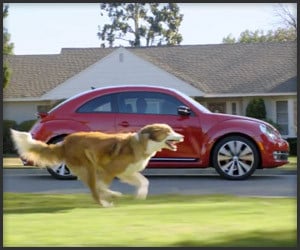 Volkswagen: Dog Strikes Back