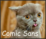 Cats as Fonts