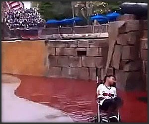 Don’t Sleep at Amusement Parks