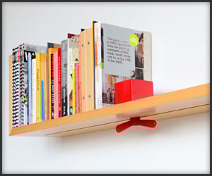 Hold On Tight Shelf