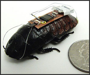 Remote-Controlled Roaches