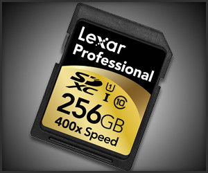 Lexar 256GB SDXC Card