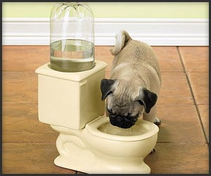 Toilet Water Pet Bowl
