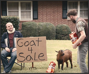 Goat 4 Sale