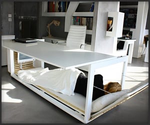 Desk Bed Concept