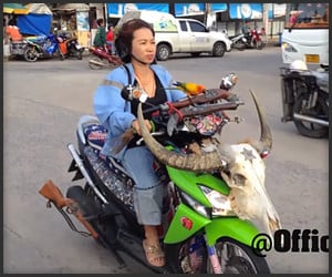 Badass Thai Biker