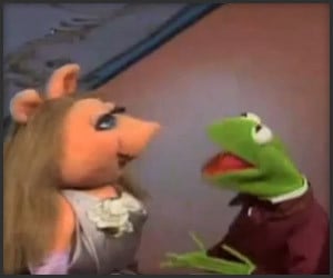 Muppets: Blurred Lines