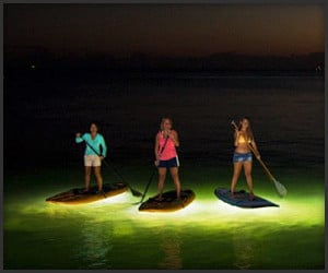 Nocqua 2000 Paddle Lighting