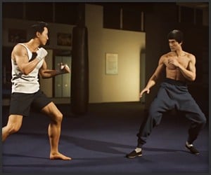 Bruce Lee vs. Donnie Yen
