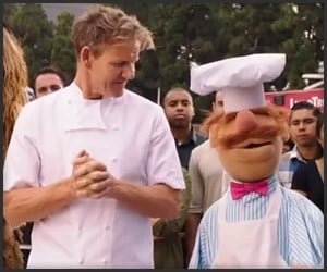 Swedish Chef vs. Gordon Ramsay
