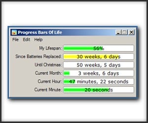 Progress Bars of Life