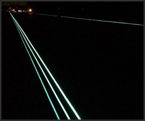 Glow-in-the-Dark Road Markers