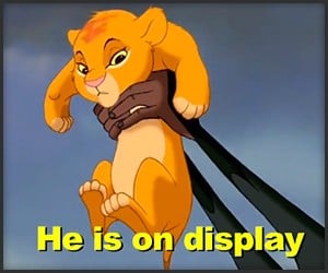 The Lion King Honest Trailer