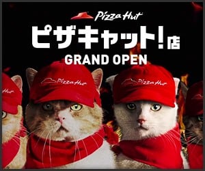 Pizza Cat!