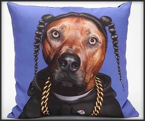 Snoop Dog Pillow