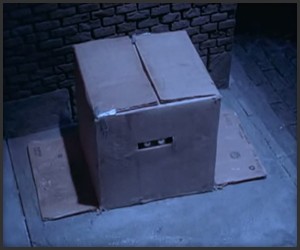 The Box Man