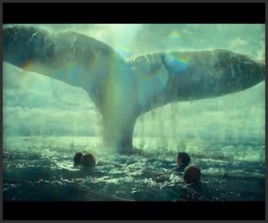 In the Heart of the Sea (Teaser)