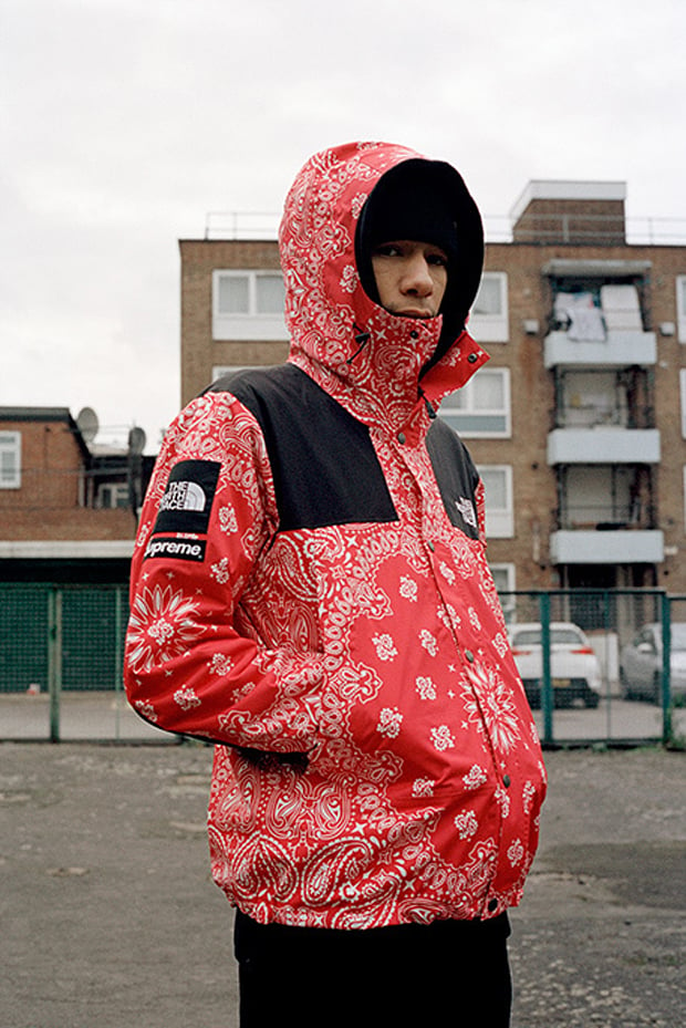 Supreme x The North Face - The Awesomer