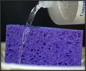 Melting Sponges in Slow Mo