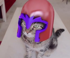 Magneto Cat