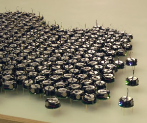 The Thousand Robot Swarm