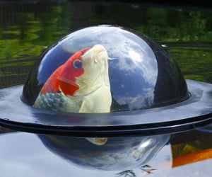 The Fish Dome