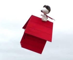 Flying Snoopy IRL