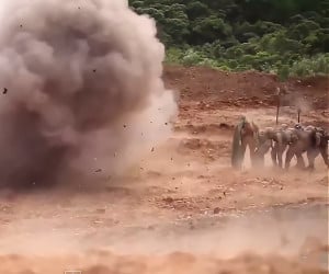 Marines vs. Explosion