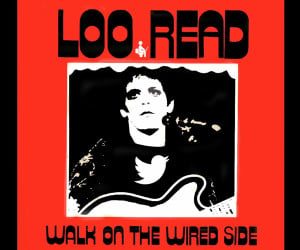 Loo Read: Walk on the Wired Side