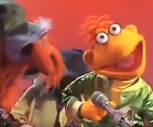 My Name Is: Muppets Version