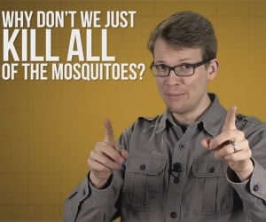 What If We Killed All Mosquitoes?