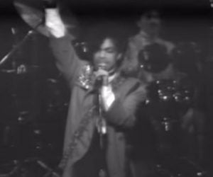 Prince in Concert: 1982