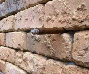 Brick Wall Illusion