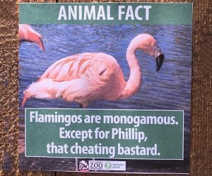 Obvious Plant Visits the Zoo