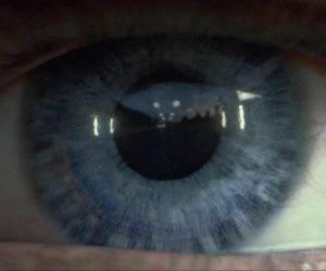 Audi: The Eye