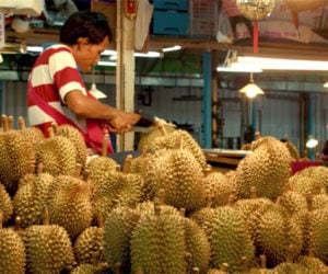 The Smell of Durian