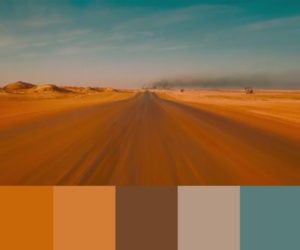 Film Color Palettes