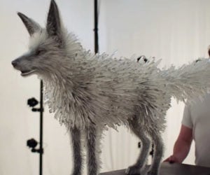 The Crystal Fox Puppet