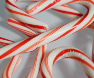 Making Candy Canes from Scratch