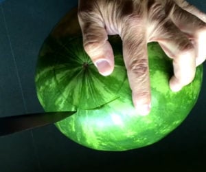 How to Juice a Watermelon