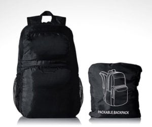 10 Great Packable Bags