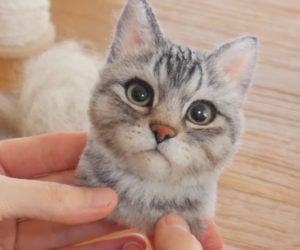 Making a Needle-felted Cat