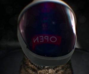 SpaceX Cat